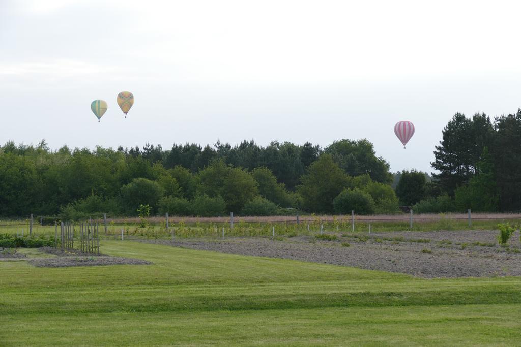 Le Clos Des Perraudieres Cour-Cheverny Exteriör bild