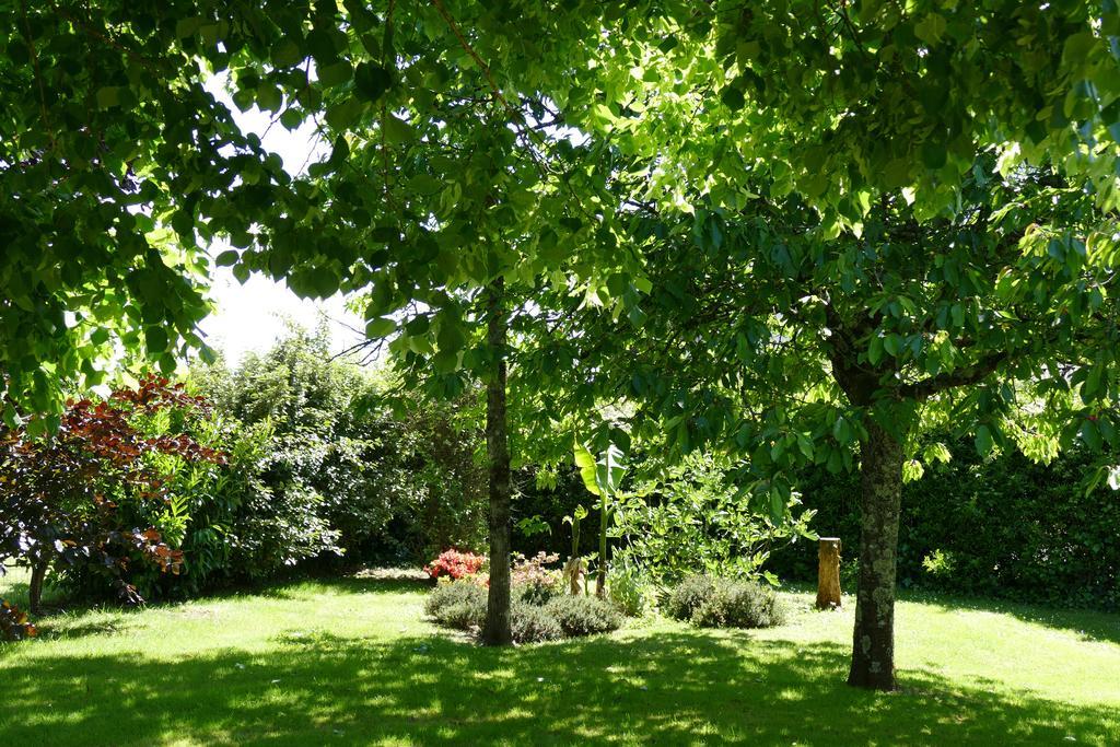 Le Clos Des Perraudieres Cour-Cheverny Exteriör bild