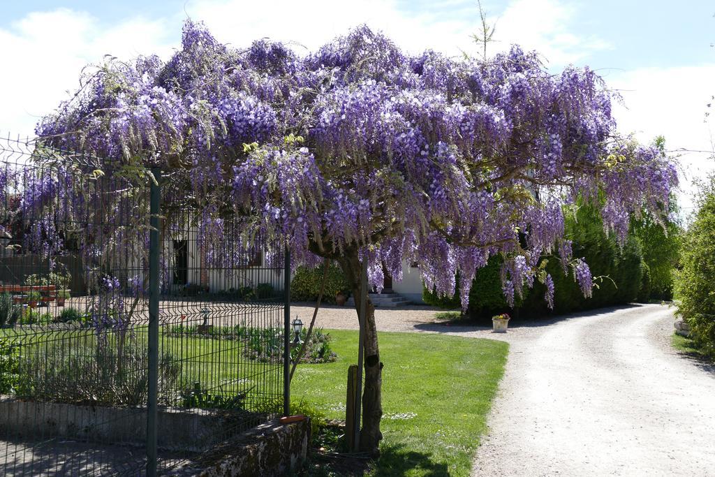 Le Clos Des Perraudieres Cour-Cheverny Exteriör bild