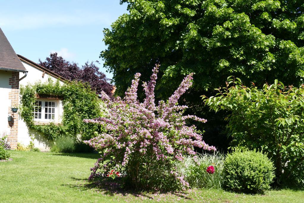 Le Clos Des Perraudieres Cour-Cheverny Exteriör bild