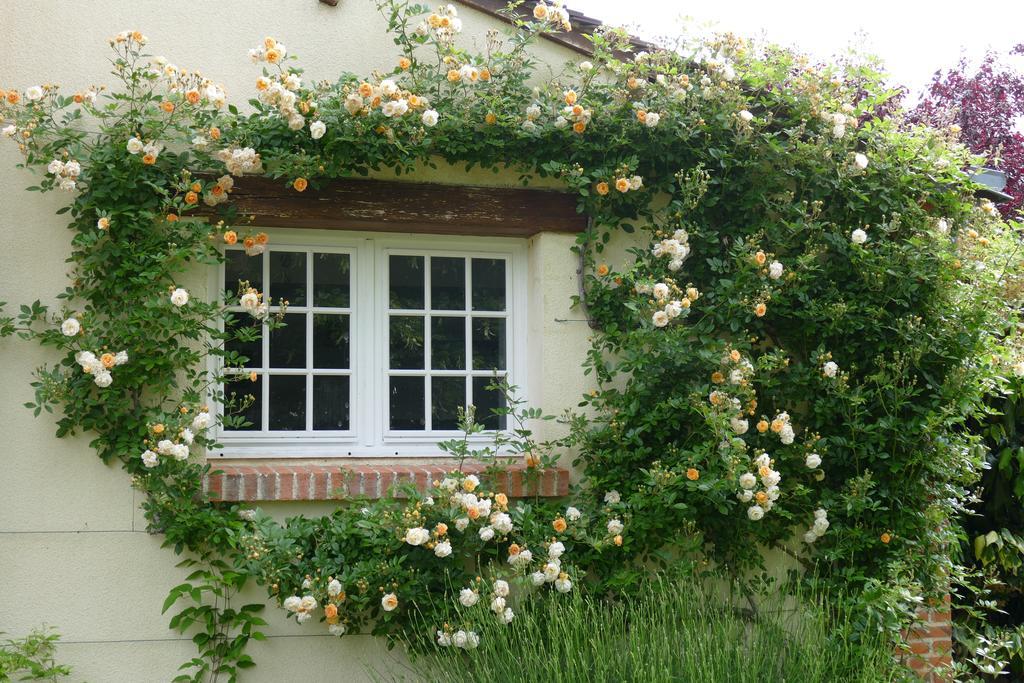 Le Clos Des Perraudieres Cour-Cheverny Exteriör bild
